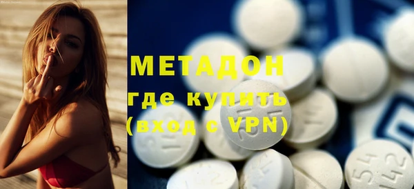 прущие грибы Тихвин