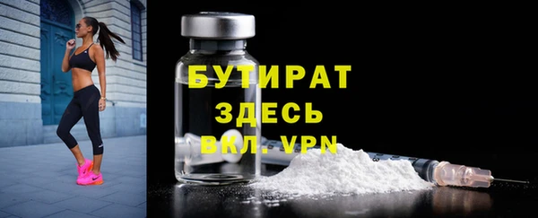 прущие грибы Тихвин
