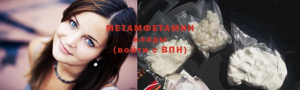 прущие грибы Тихвин
