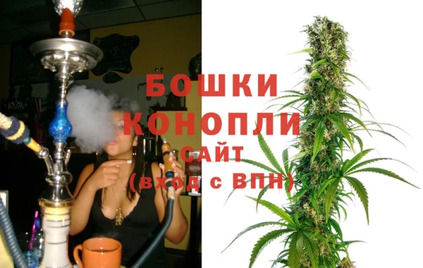 прущие грибы Тихвин