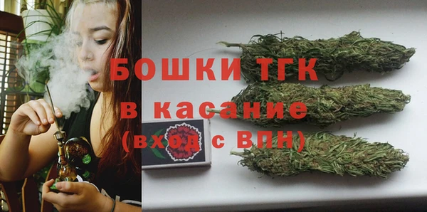 прущие грибы Тихвин