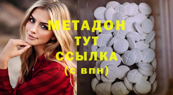 прущие грибы Тихвин