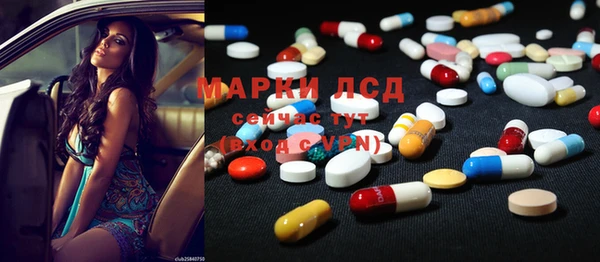 прущие грибы Тихвин