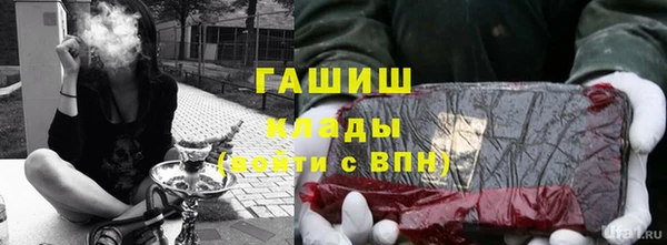 прущие грибы Тихвин