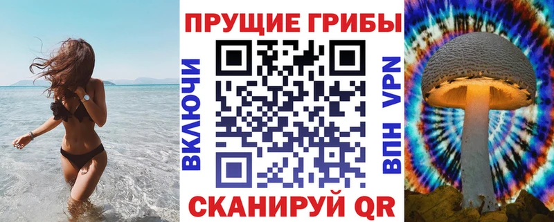 Псилоцибиновые грибы Psilocybe  Купить  Давлеканово 